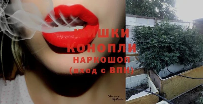 Бошки марихуана Amnesia  shop телеграм  Югорск 